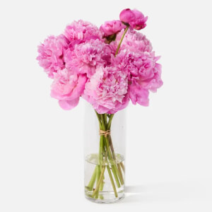 cat-floral-peonies